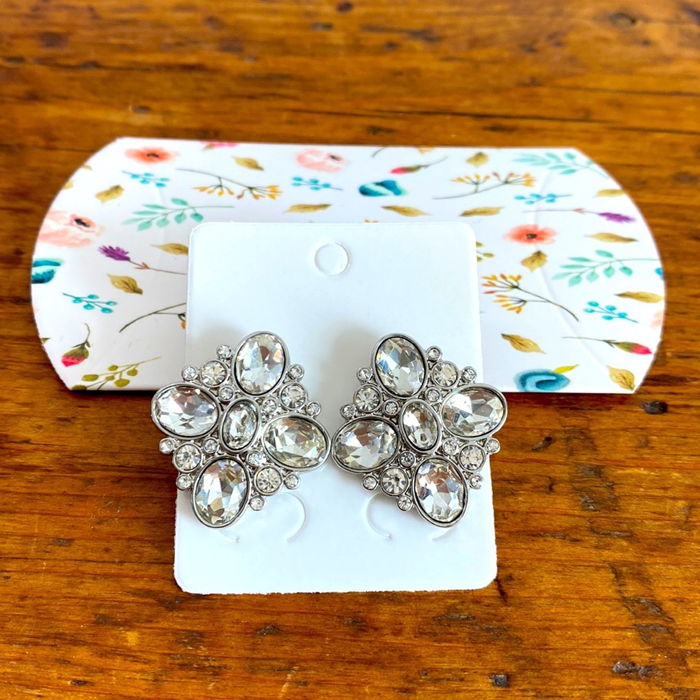Club Monaco silver crystal statement stud earrings